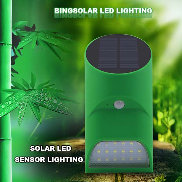 1W Solar Light Motion Sensor Light for Outdoor Decoration