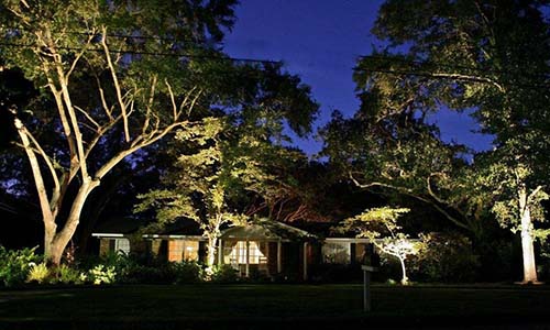 outdoor LED landscape light