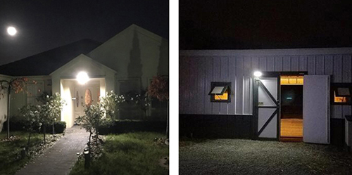 6W Solar LED Motion Sensor Wall Light