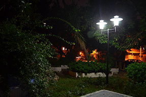 LED Garden Landscaping Light