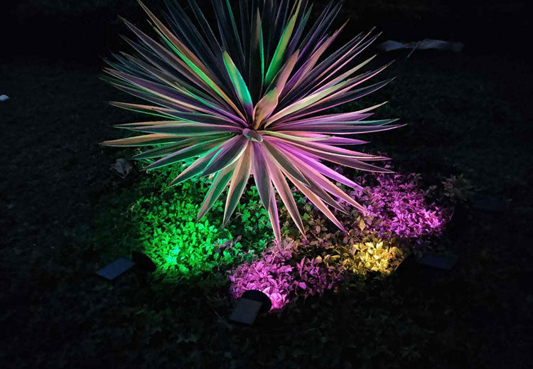 lawn solar garden light