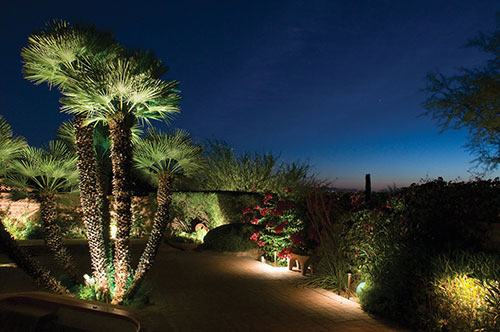 Solar Powered Yard Lights